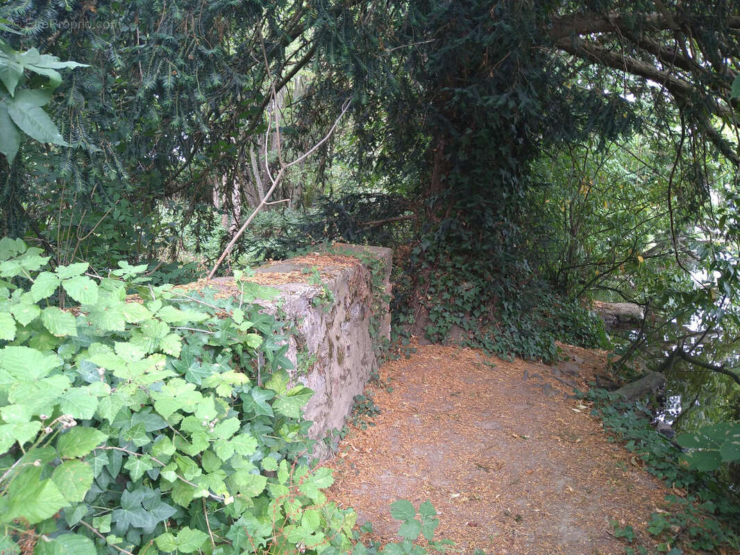 Terrain à SAINT-AUBIN-DE-LOCQUENAY