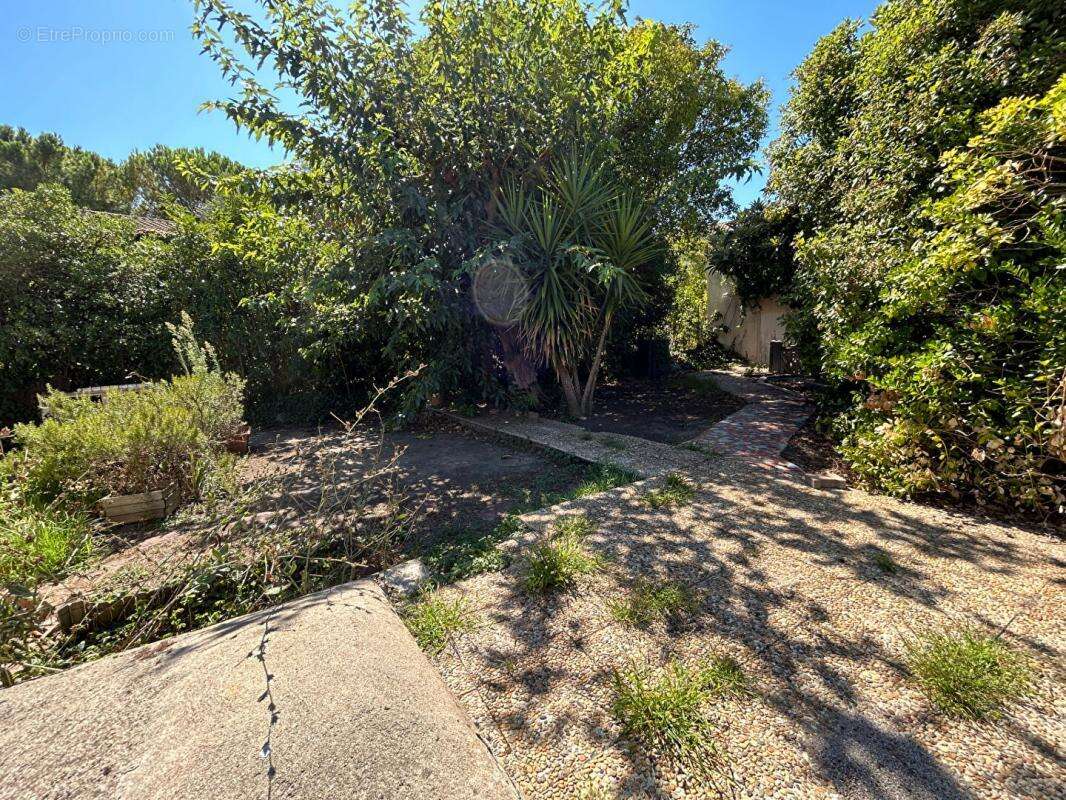 Maison à MONTPELLIER