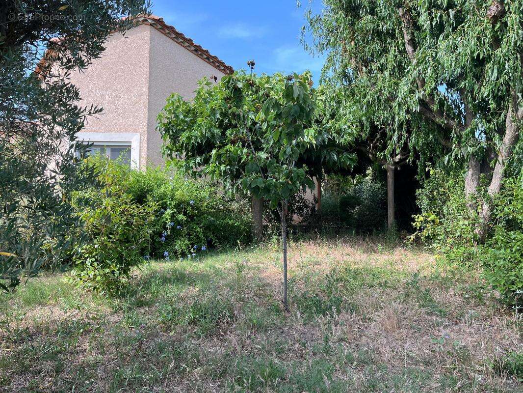 Maison à VILLEVEYRAC