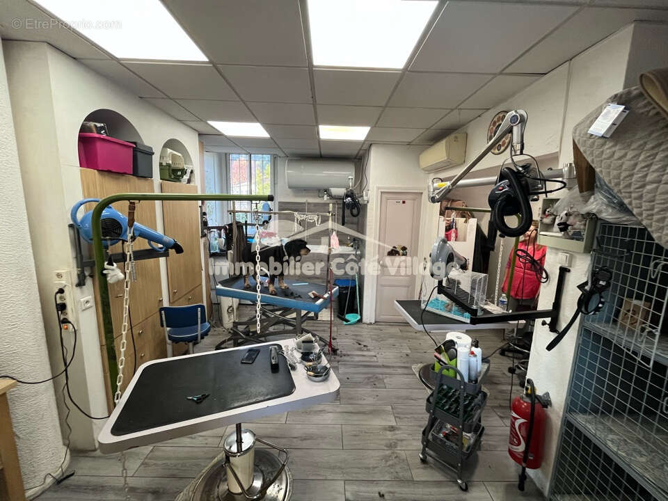 Commerce à LA TRINITE