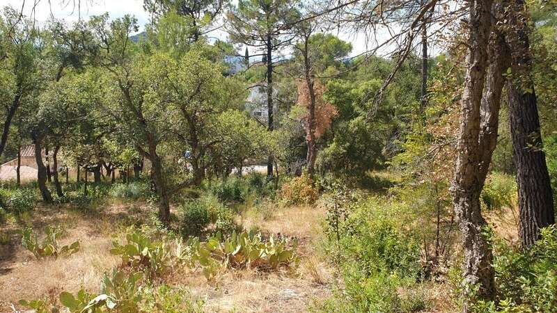 Terrain à VIDAUBAN