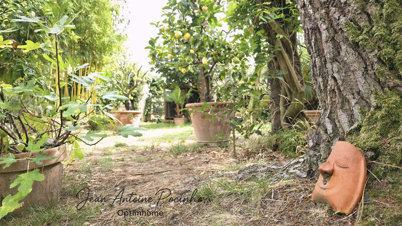 Maison à SAINT-THOMAS