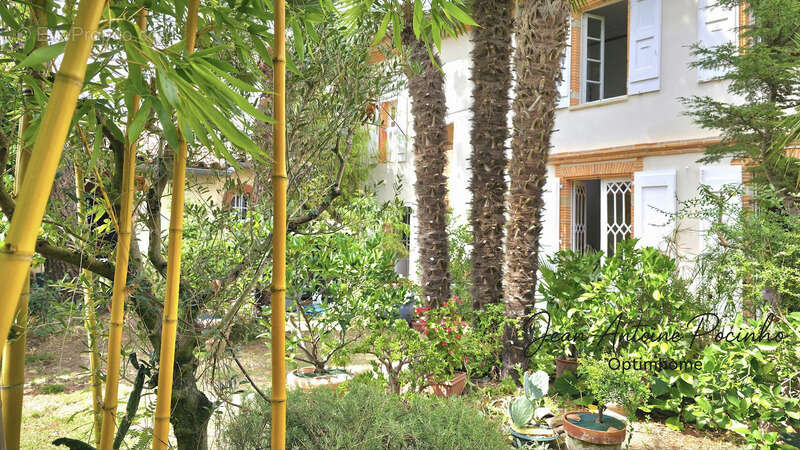 Maison à SAINT-THOMAS