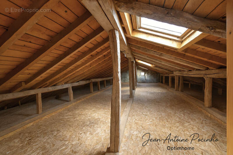 Maison à SAINT-THOMAS