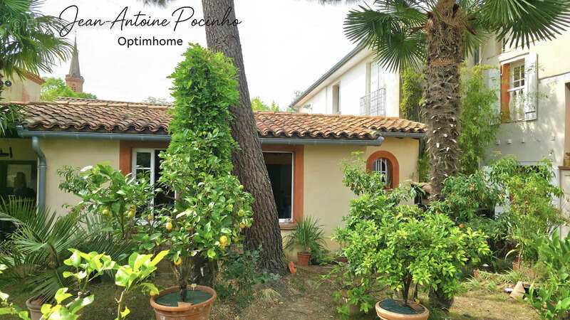 Maison à SAINT-THOMAS