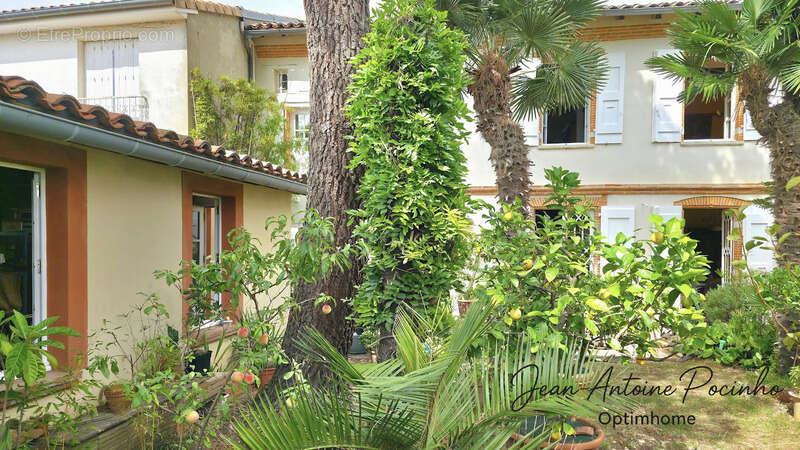 Maison à SAINT-THOMAS