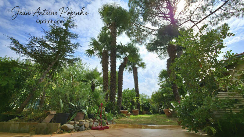 Maison à SAINT-THOMAS