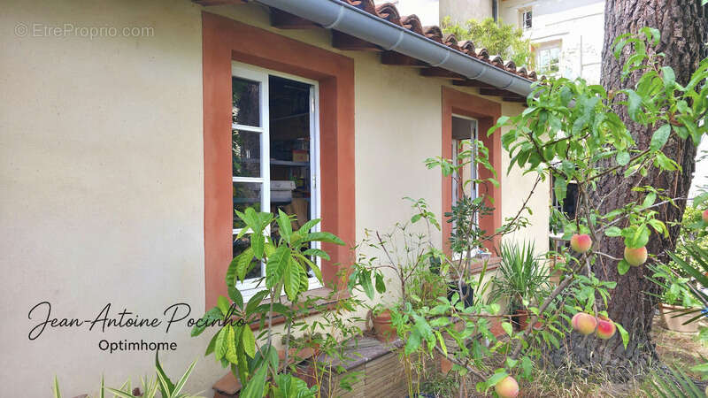 Maison à SAINT-THOMAS