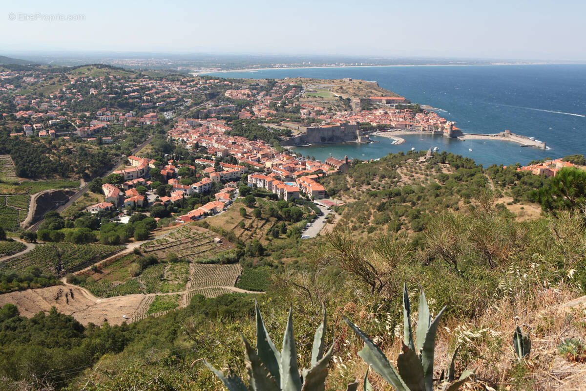 Commerce à COLLIOURE