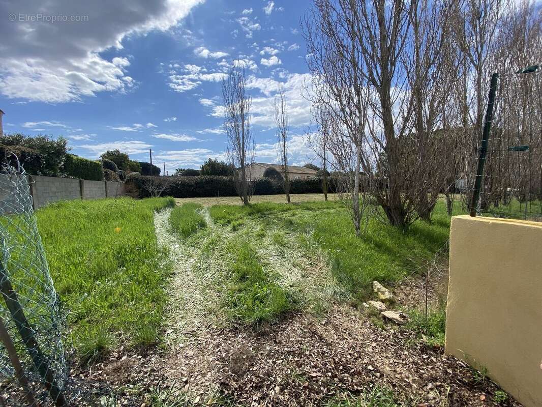 Terrain à MARSEILLAN