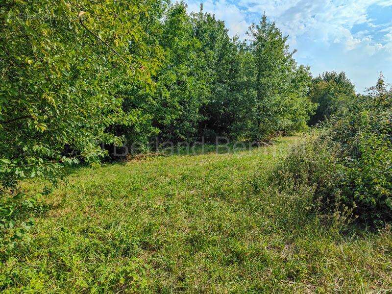 Maison à SAUZE-VAUSSAIS