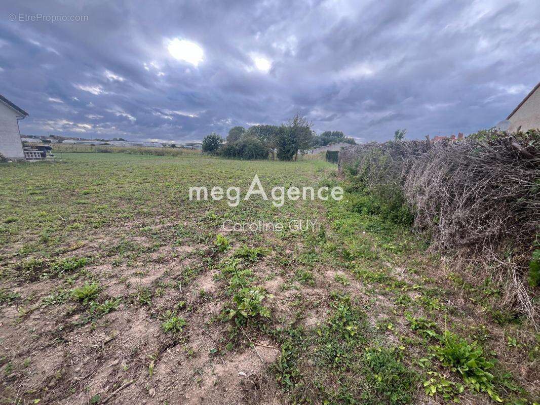 Terrain à SAINT-OMER