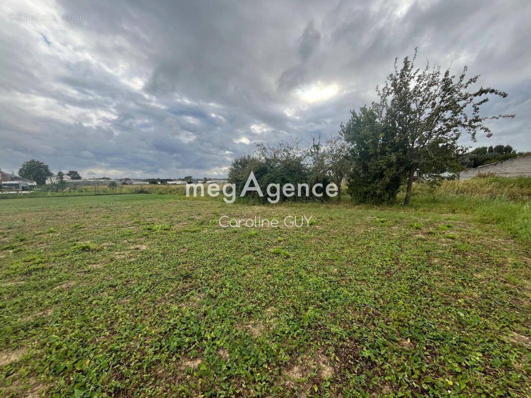 Terrain à SAINT-OMER