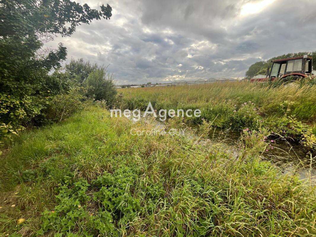 Terrain à SAINT-OMER