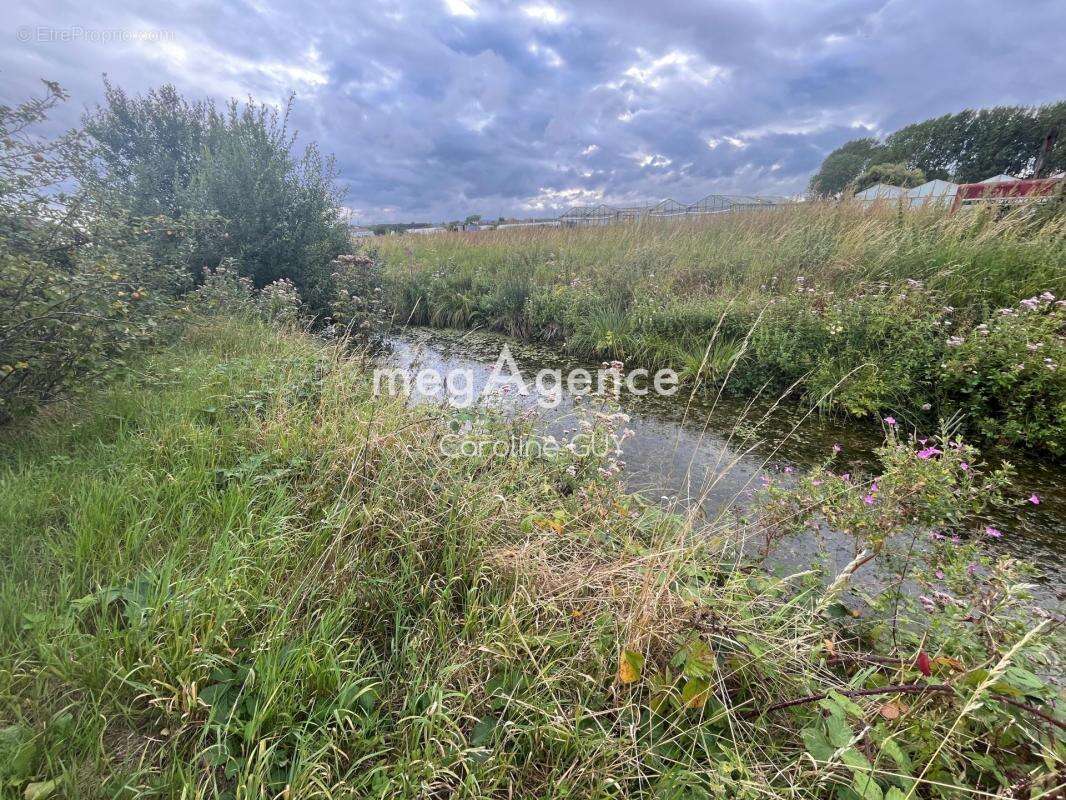 Terrain à SAINT-OMER