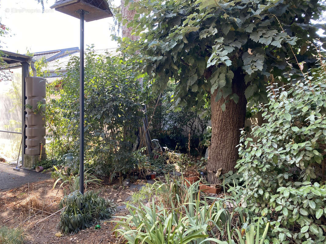 Maison à BRIVE-LA-GAILLARDE