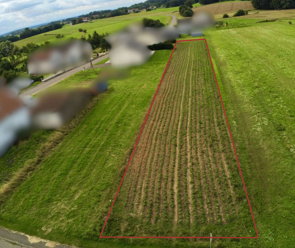 Terrain à HILSPRICH