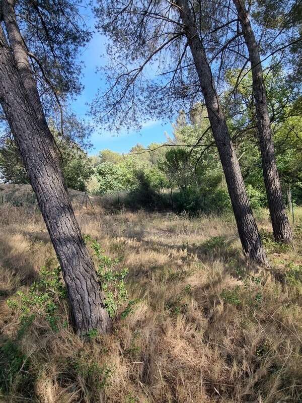 Terrain à AIX-EN-PROVENCE