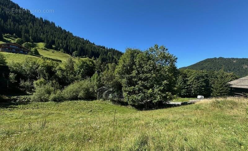 Terrain à LA CLUSAZ