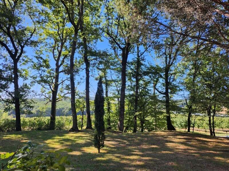 Maison à SAVIGNAC-SUR-LEYZE