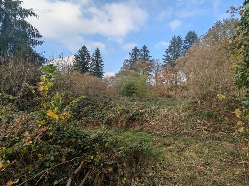 Maison à SAINT-TUGDUAL