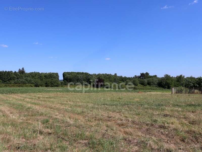 Terrain à SAINT-PALAIS-DE-NEGRIGNAC