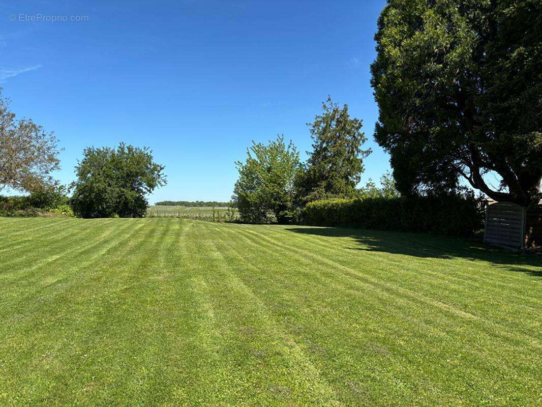 Maison à MOULIS-EN-MEDOC