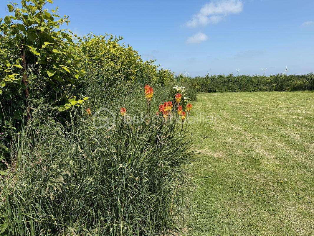 Maison à PLOUDALMEZEAU