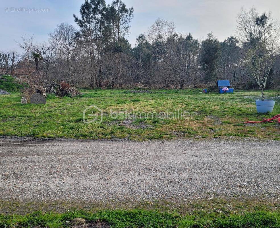 Terrain à PARENTIS-EN-BORN