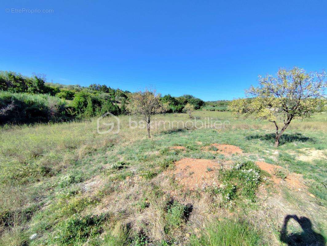 Terrain à CLERMONT-L&#039;HERAULT