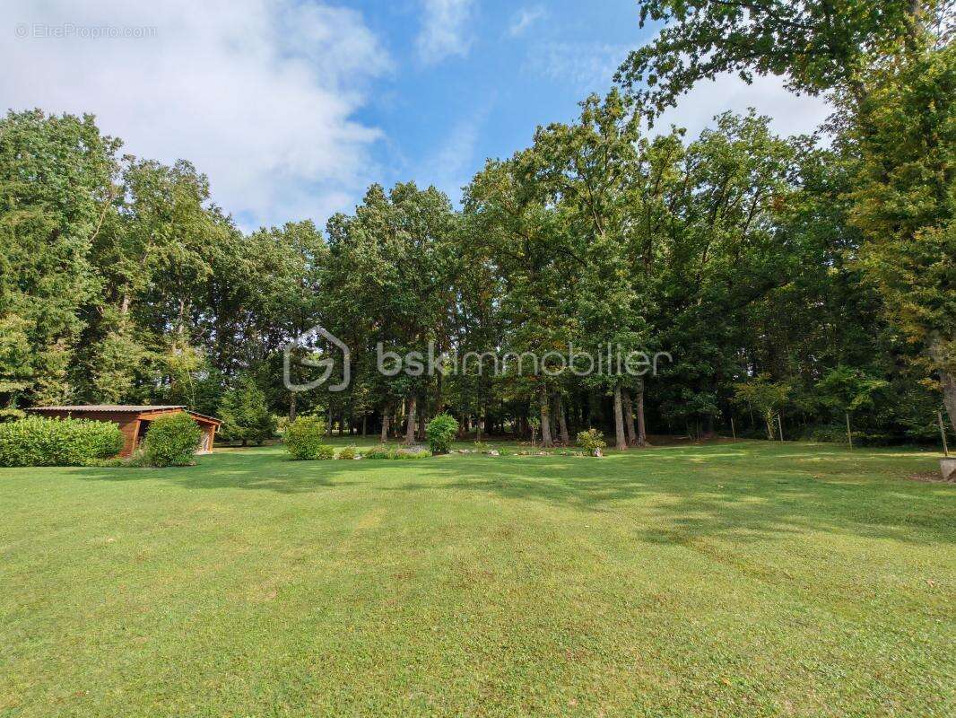 Maison à VILLENEUVE-SUR-BELLOT