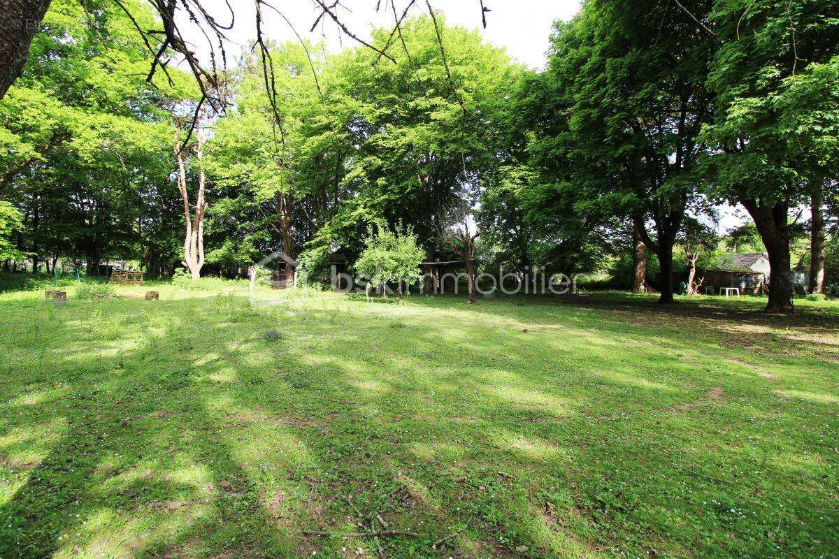 Maison à NANTEAU-SUR-LUNAIN