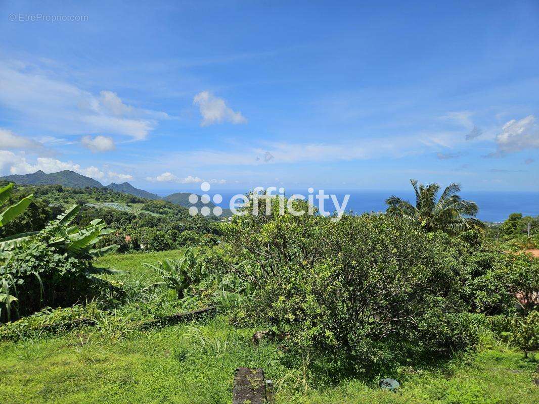 Maison à SAINT-CLAUDE