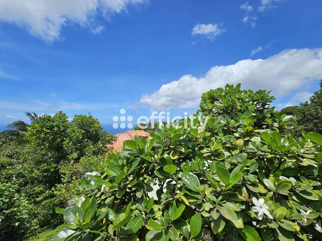 Maison à SAINT-CLAUDE