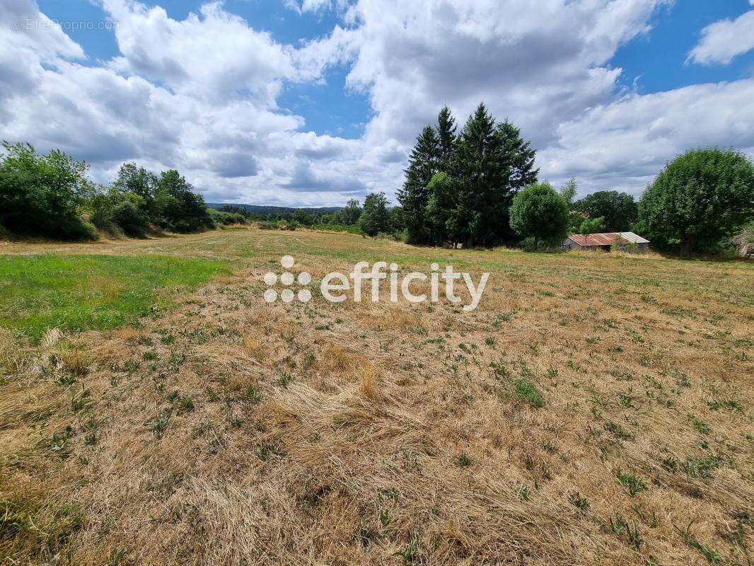 Terrain à BLAVIGNAC