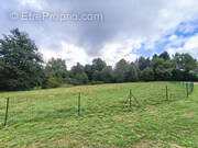 Terrain à SAINT-REMY-SUR-DUROLLE