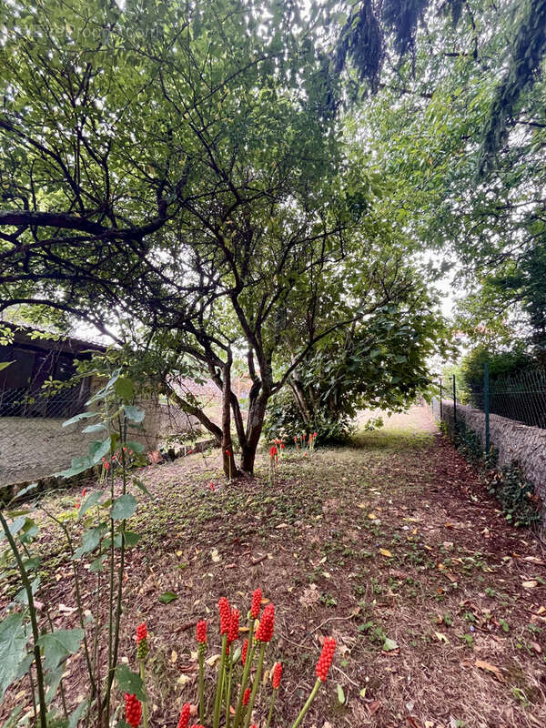 Maison à SAINT-JEAN-DE-BOISEAU