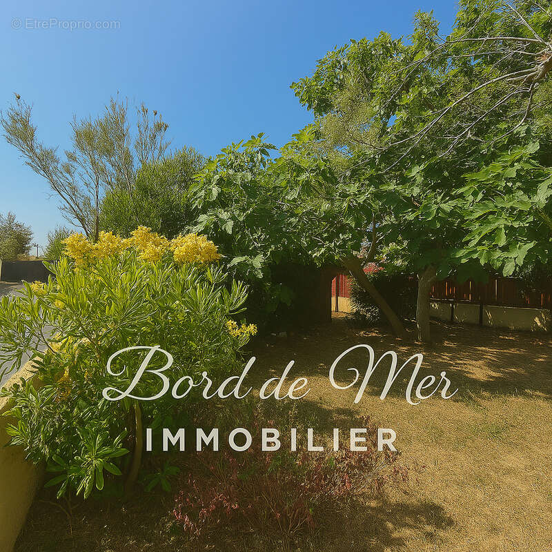 Maison à FRONTIGNAN