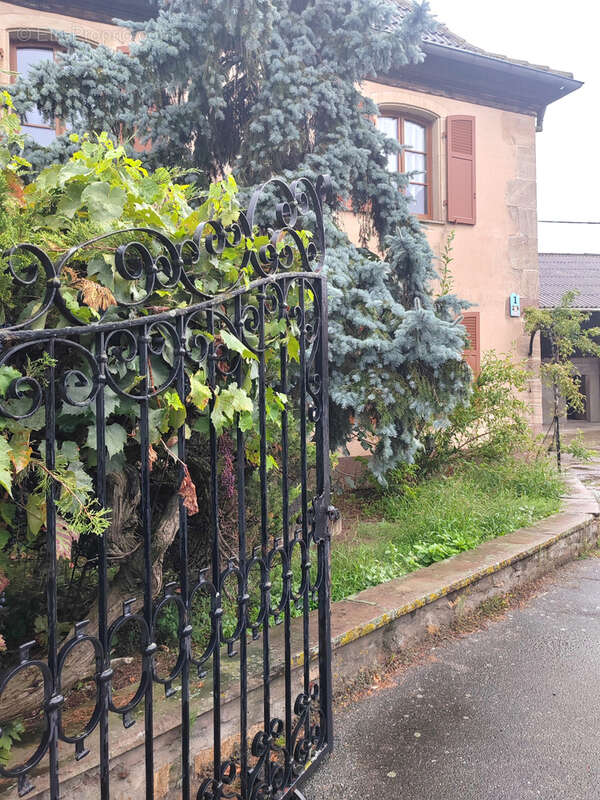 Maison à RAEDERSHEIM