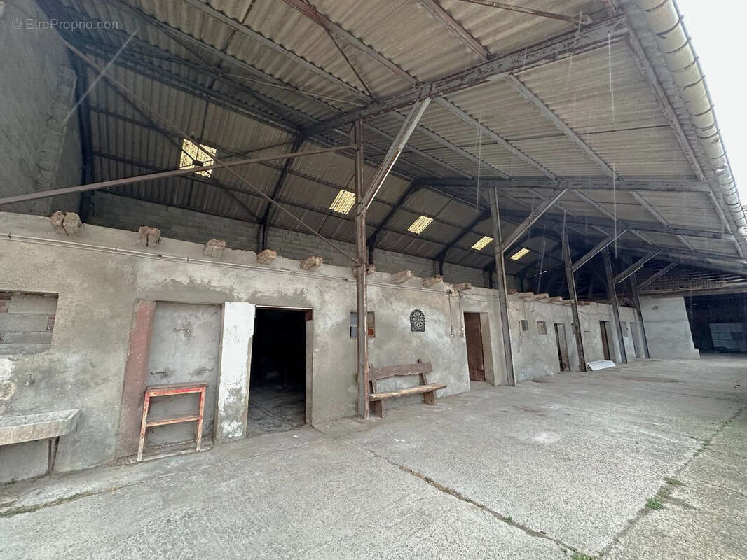 Terrain à RAEDERSHEIM