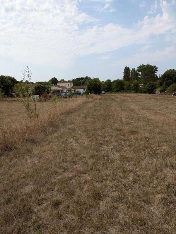 Terrain à SAINT-HILAIRE-LA-PALUD