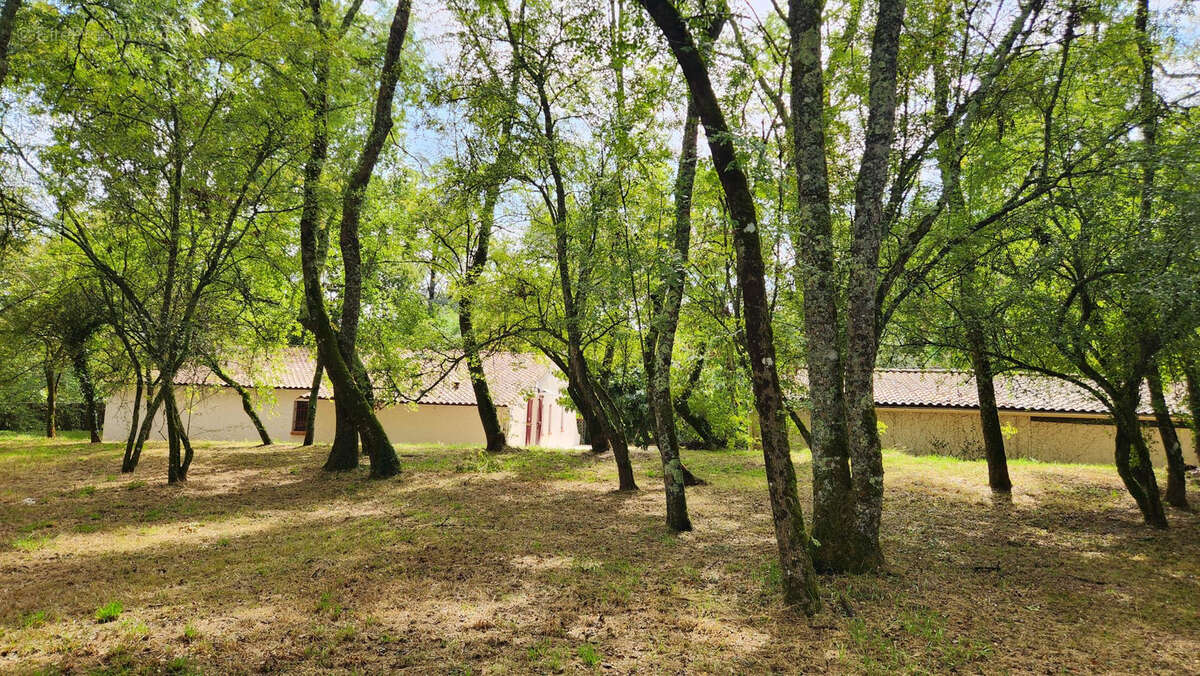 Maison à SAINT-ANDRE-DE-CUBZAC