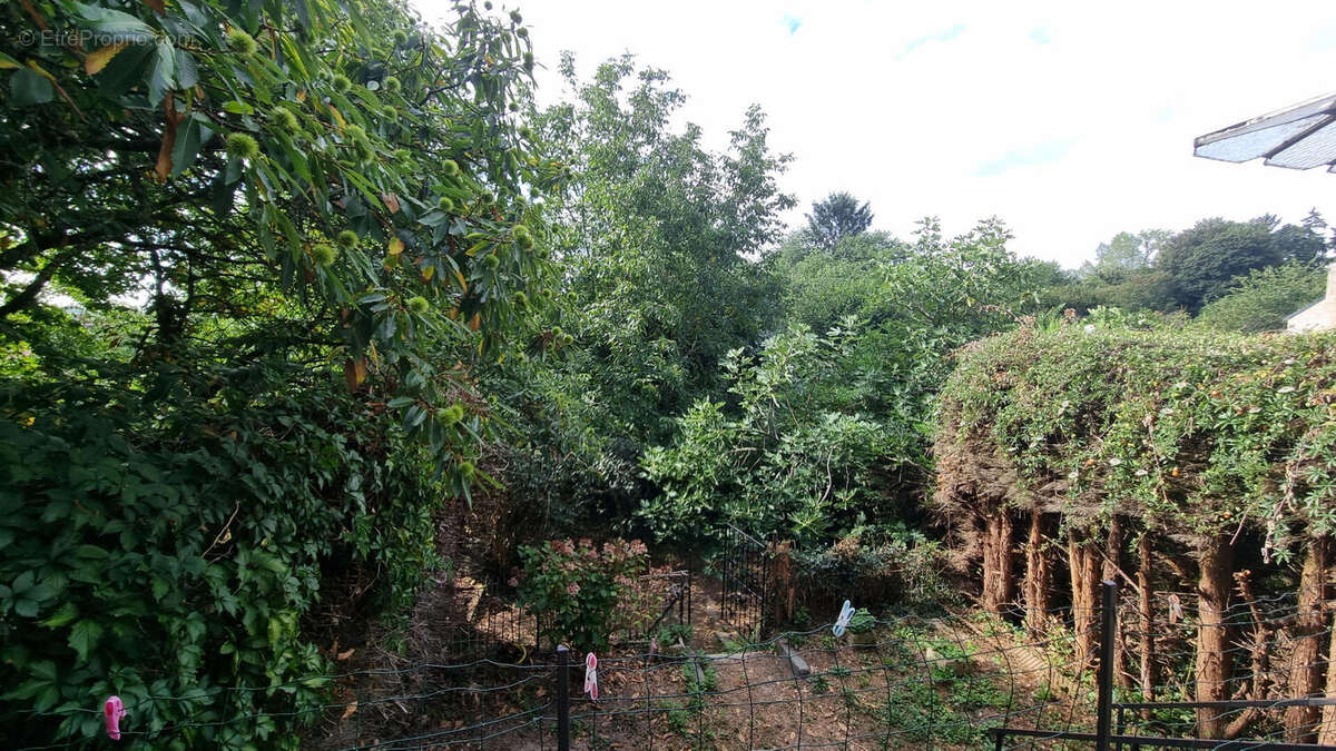 20250820_105606 - Maison à SAINT-SAUD-LACOUSSIERE