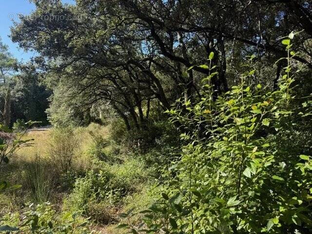 Terrain à SAINTE-ANASTASIE-SUR-ISSOLE