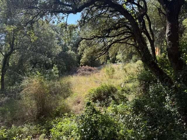 Terrain à SAINTE-ANASTASIE-SUR-ISSOLE