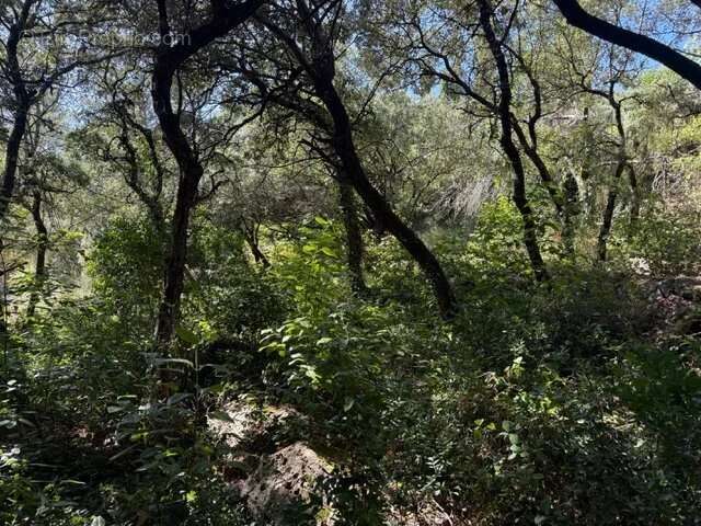 Terrain à SAINTE-ANASTASIE-SUR-ISSOLE