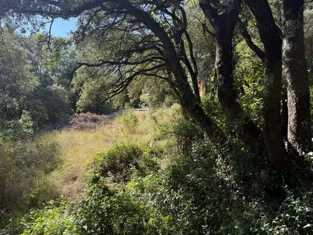 Terrain à SAINTE-ANASTASIE-SUR-ISSOLE