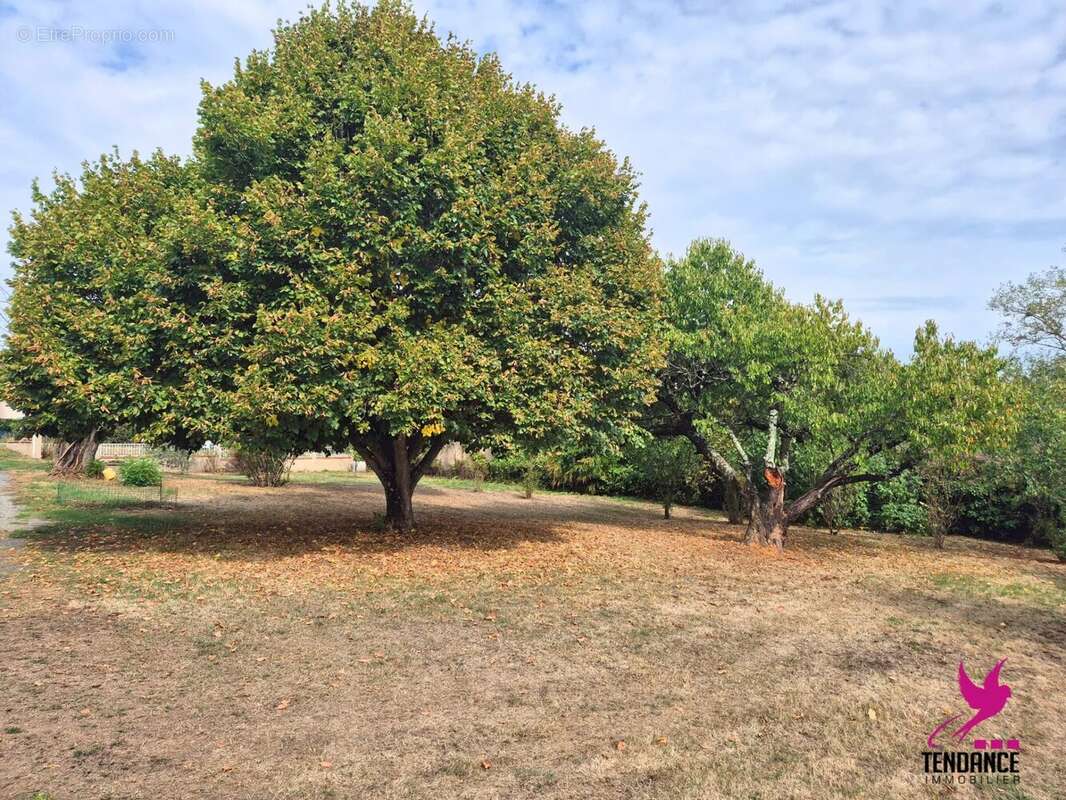 Maison à SAINT-PAUL-SUR-SAVE