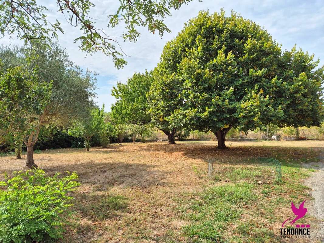 Maison à SAINT-PAUL-SUR-SAVE