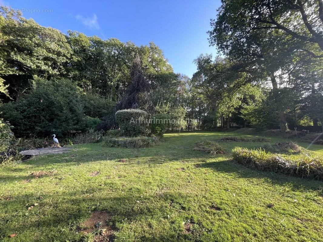 Terrain à SAINTE-ANNE-D&#039;AURAY